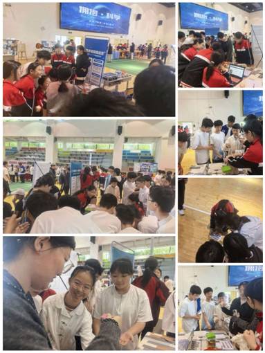 智趣数海，探科寻理