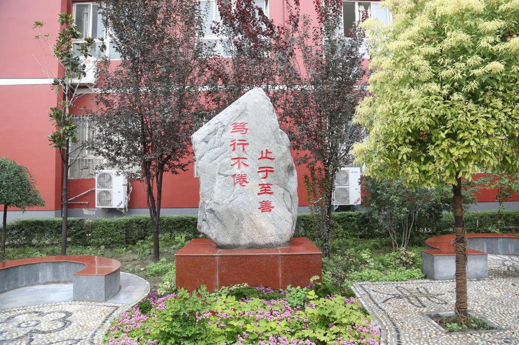 我与学生共成长